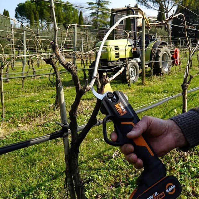 Detalle 2 de WORX Nitro WG330E cesoie da giardino senza spazzole 20V con taglio fino a 25 mm