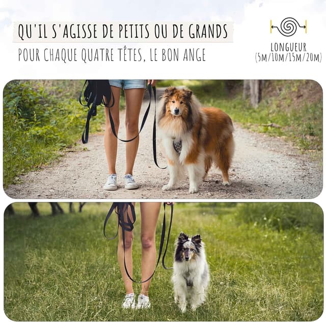 Thumbnail 6 de Rudelkönig Longe pour Chien 15m 🐕