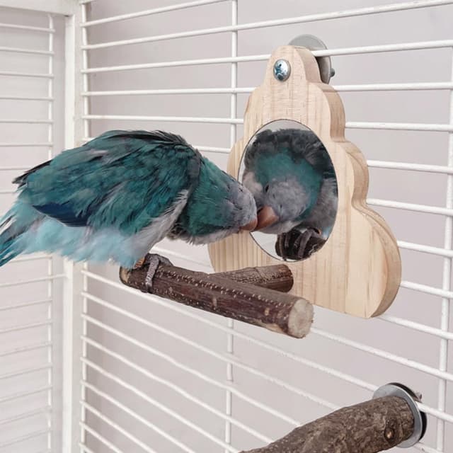 Thumbnail 4 de ZYYRSS Small Bird Mirror Parrot Swing