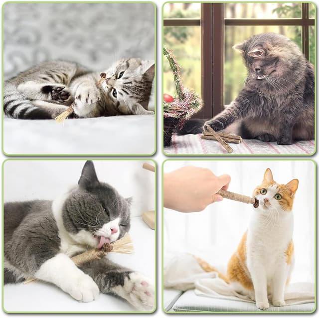 Thumbnail 1 de 21‑Piece Catnip Toys for Cats