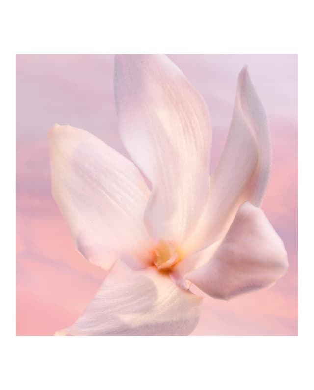 Thumbnail 3 de Lancôme Vanille Nude Eau de Parfum