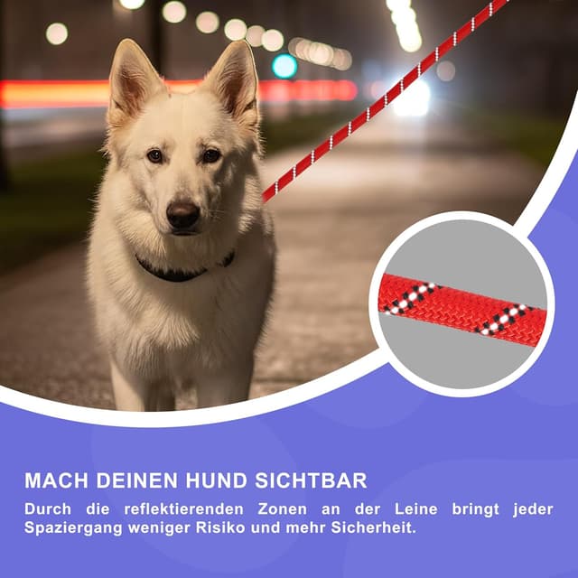 Detalle de Reichstadt Pets Guinzaglio in nylon morbido con impugnatura in EVA e moschettone girevole, riflettente, 1,5 m (25RSP084) – Rosso