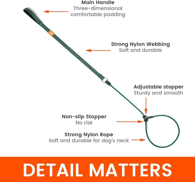 Detalle de Howgo Dog Slip Lead (No-Pull) with Padded Handle – Lightweight Training Leash, Pink, 3.6FT