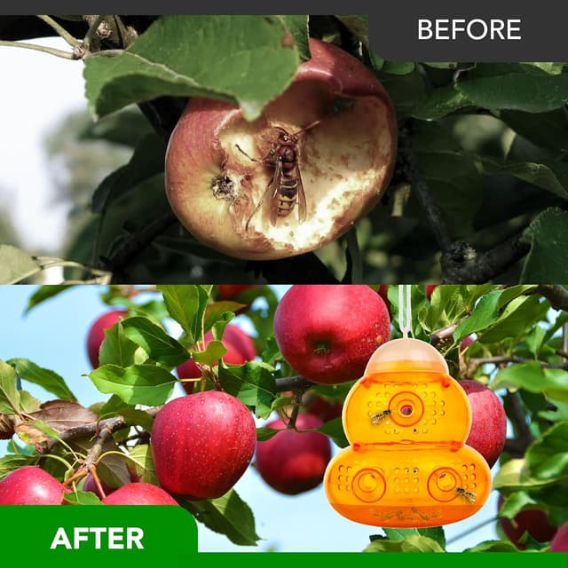 Detalle de ASPECTEK Trampa para Avispas 2 unidades