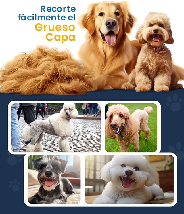 Thumbnail 6 de oneisall Premium Maquina Cortapelo 2000 mA