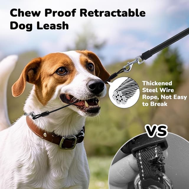 Detalle 2 de Pecute Guinzaglio Retrattile per Cani 10 m fino a 50 kg, con freno rapido e anti-grovigli a 360°