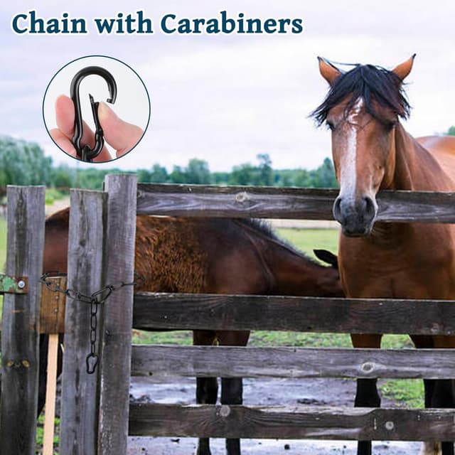 Detalle 2 de NEUSID Edelstahl Kette für Türen 0,5 m