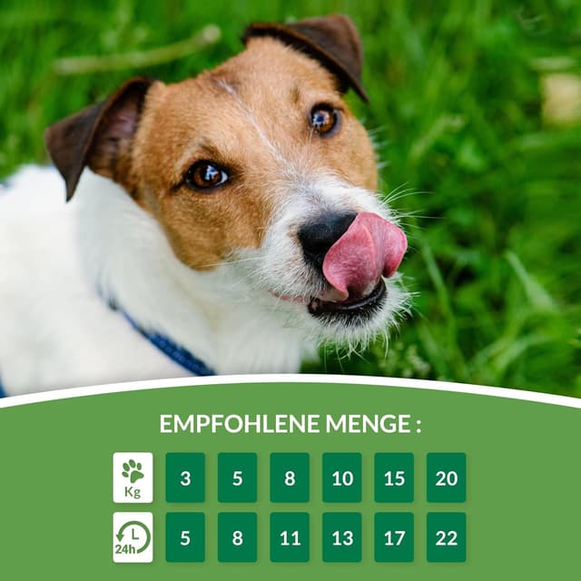 Thumbnail 5 de INABA Churu Creamy Snack 160 g