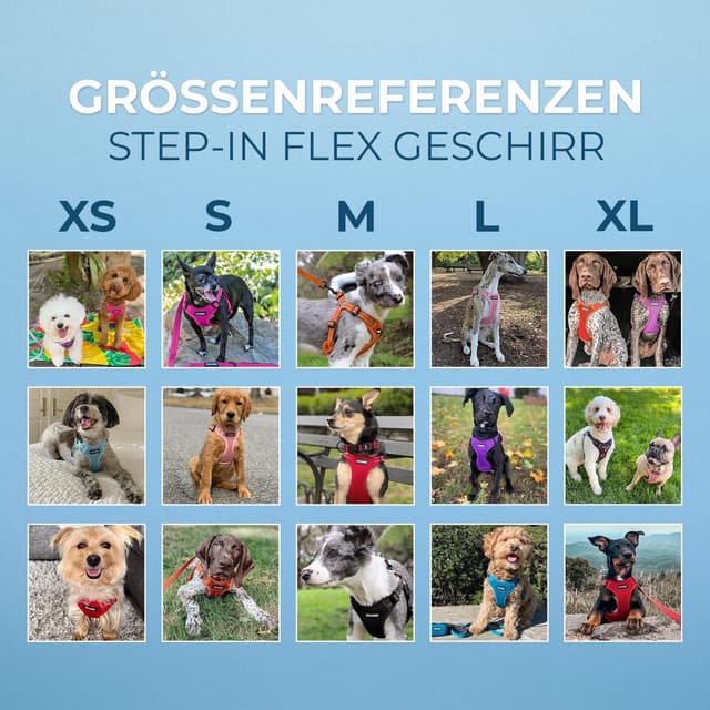 Thumbnail 5 de Voyager Verstellbares Hundegeschirr size S đ