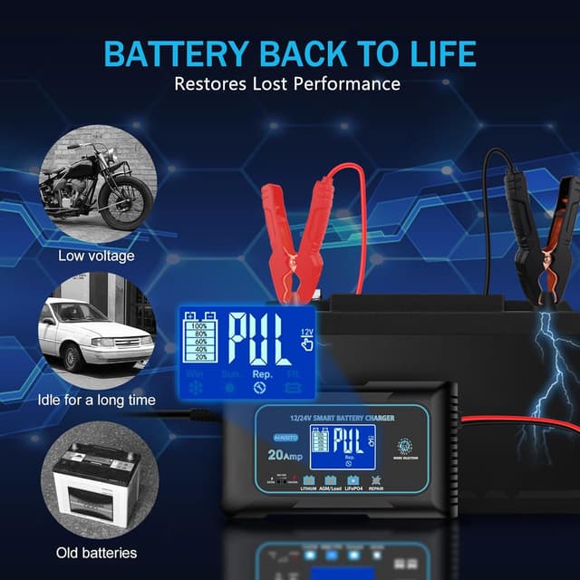 Detalle de 20-Amp LiFePO4 battery charger 12V 24V