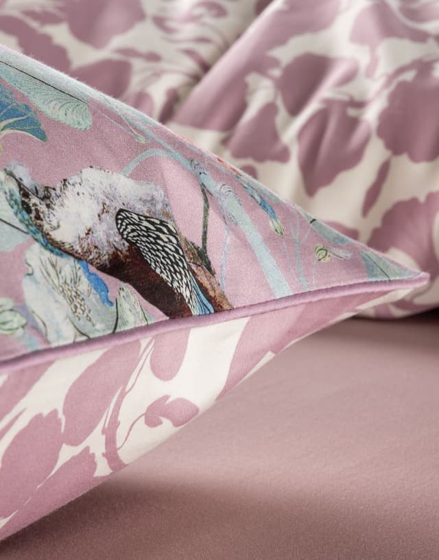 Thumbnail 1 de Essenza Aleste funda nórdica algodón satén