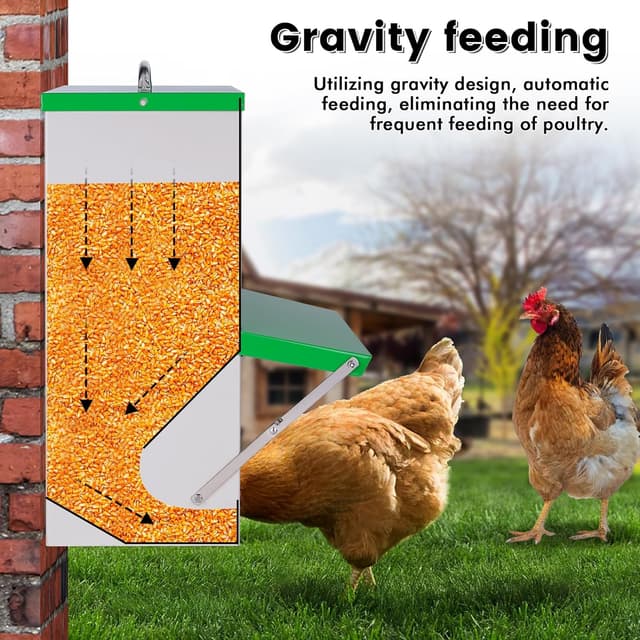 Detalle de MasXirch Futterautomat Hühner 11 kg – Metall-Futtertrog mit Deckel für Außenbereich