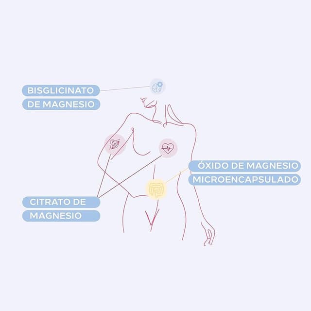 Thumbnail 3 de Cumlaude Lab FemPlus Magnesium — Complemento de magnesio 60 comprimidos