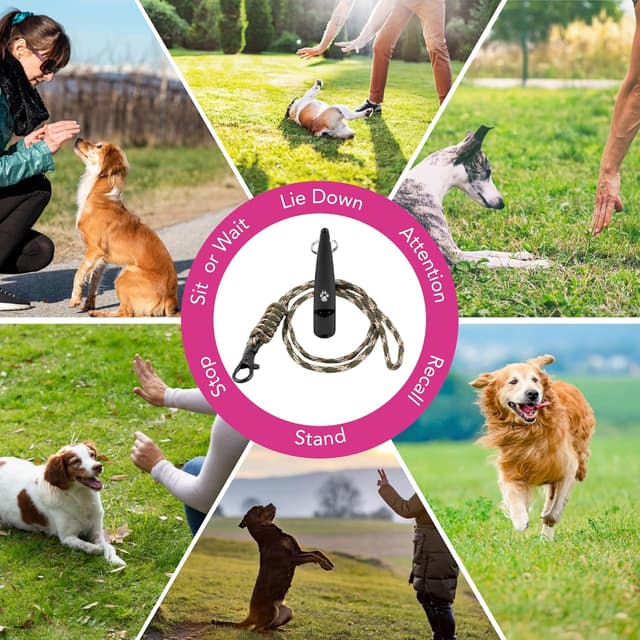 Detalle 1 de Dog recall training whistle 8 cm sound