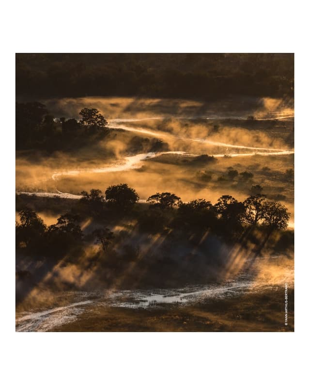 Thumbnail 5 de Guerlain Recarga Eau de Parfum Aqua Allegoria Forte Bosca Vanilla 200 ml