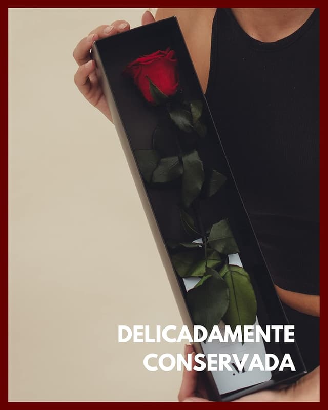 Thumbnail 3 de Mia Milano Rosa Preservada en Caja 🎁 Regalo San Valentín