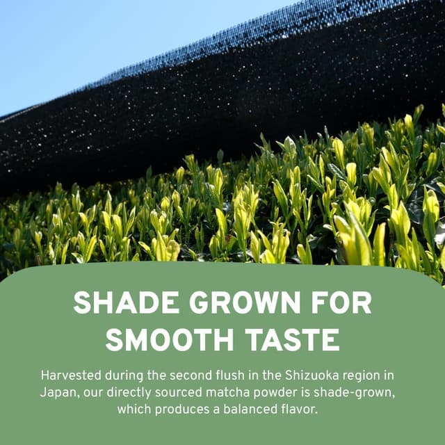 Thumbnail 4 de HANDPICK Té Verde Matcha Japonés 100g 🍵 Calidad Culinaria