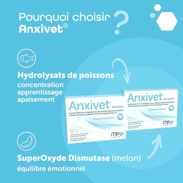 Thumbnail 4 de MP Labo Anxivet 250 mg pour chiens et chats