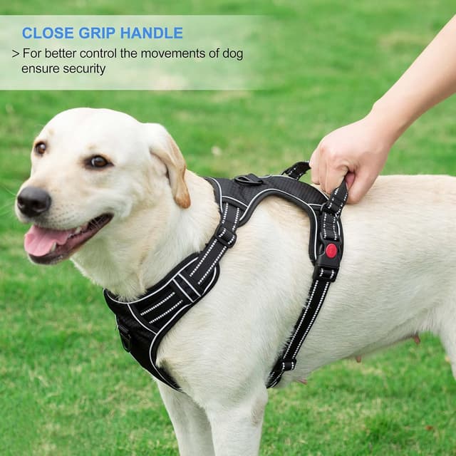 Detalle 2 de haapaw No Pull Dog Harness (Reflective Oxford) with Adjustable Fit and Free Heavy Duty Lead
