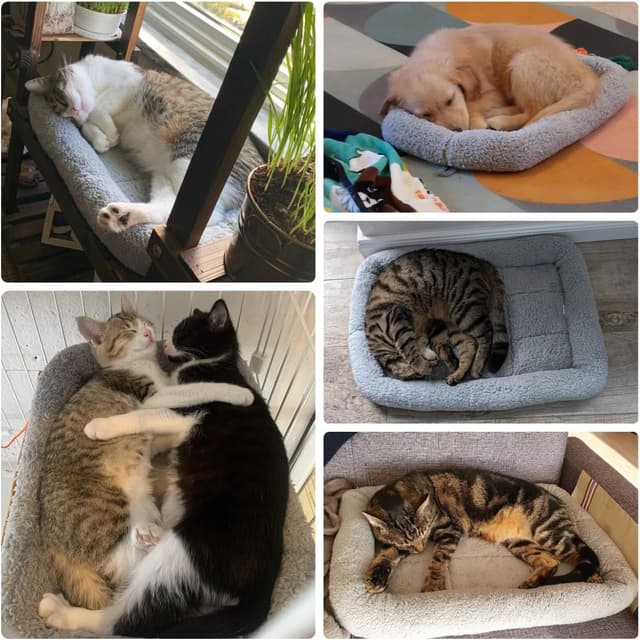 Thumbnail 6 de Namsan Katzenbett 56×41 cm Grau