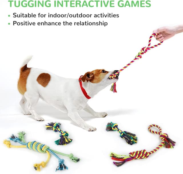 Thumbnail 6 de LEGEND SANDY cuccioli, 12 giocattoli