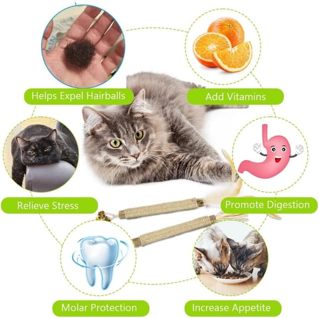 Detalle de Adiwo Katzenminze Sticks (4 Stück) – Matatabi-/Katzenminzen-Kausticks für Spiel & Zahnpflege