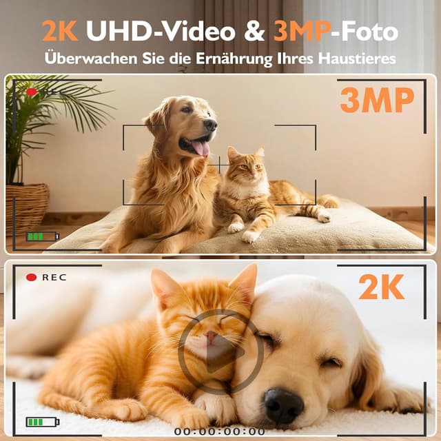 Detalle 2 de PETLIV Distributeur automatique croquettes 5 L avec app 🐾