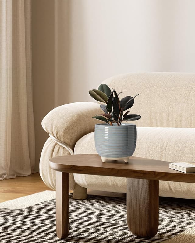 Thumbnail 1 de LE TAUCI Ceramic Plant Pots 12+16cm