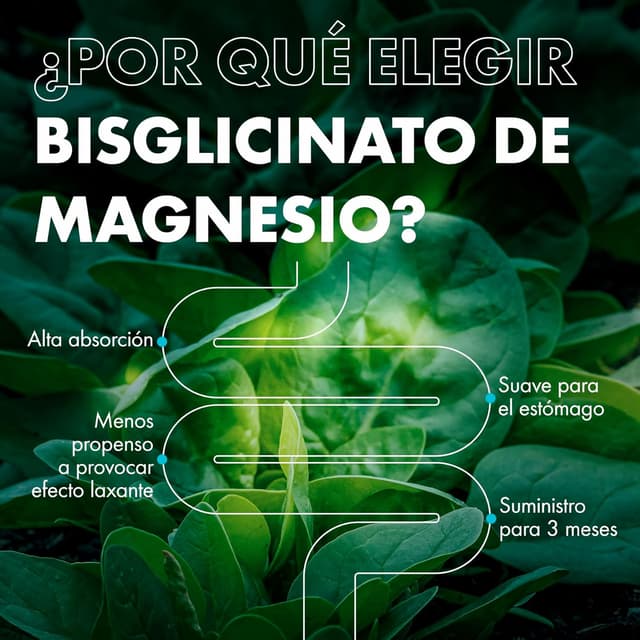 Thumbnail 4 de Magnesio Bisglicinato 500mg 💊 | Alta Biodisponibilidad, Sueño