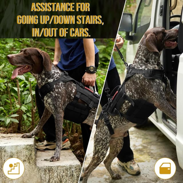 Detalle de OneTigris Invictus multifunctional dog lift harness for large dogs (Black, L) — mobility assistance hip support sling