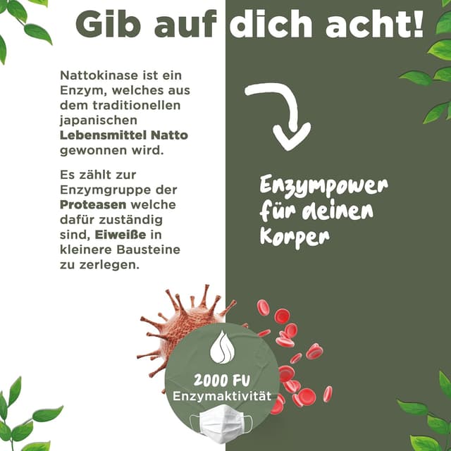 Detalle de BLATTWERK Nattokinase 2000 FU – 365 Kapseln mit 100 mg (Jahresvorrat, vegan)