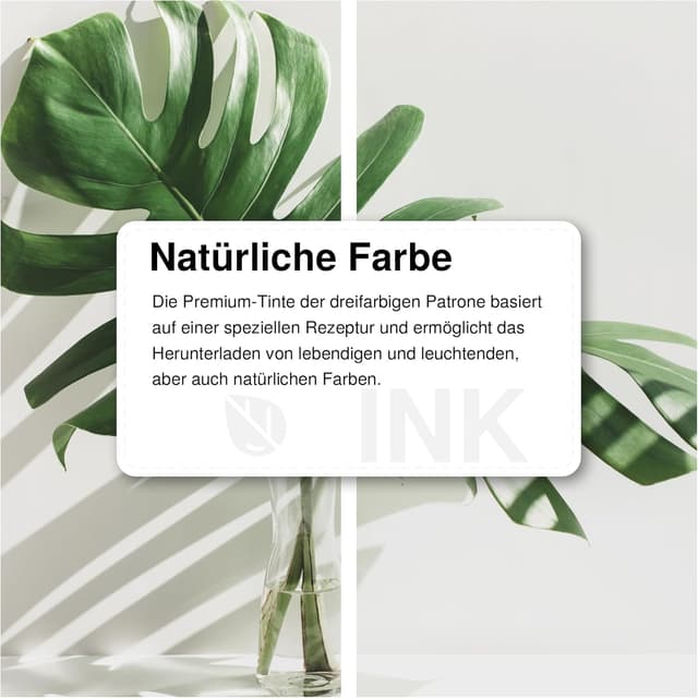 Thumbnail 5 de Economink 560 561 XL Patronen für Canon TS5350i TS7450i ⌚ 1 Schwarz, 1 Farbe