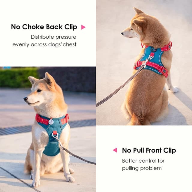 Detalle de PHOEPET No Pull Dog Harness with Escape Proof Adjustable Vest, Reflective, Teal Base & Red Straps (Size M)