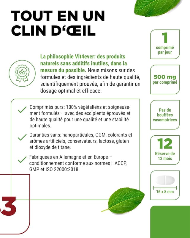 Detalle de Vit4ever Vitamine B3 (Niacine) 500 mg – Nicotinamide flush-free – 365 comprimés