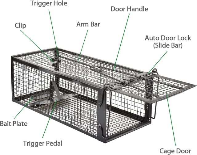 Detalle 2 de Anyhall 2-Pack Humane Live Mouse Traps for Indoors and Outdoors 🐭