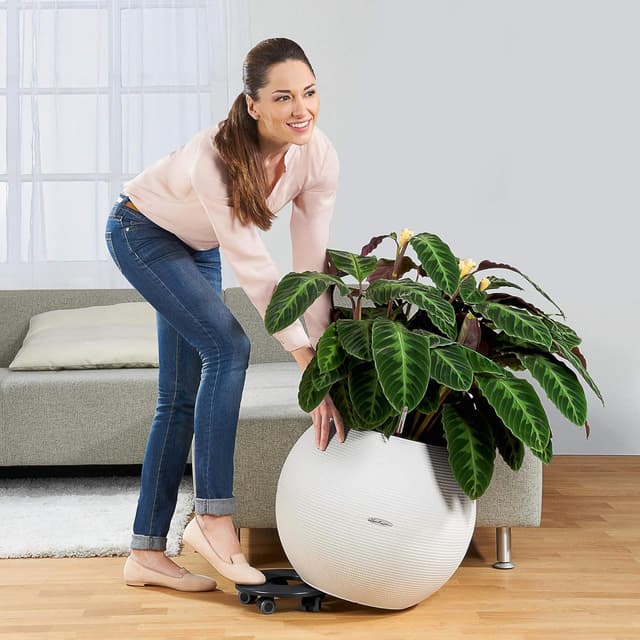 Thumbnail 2 de Lechuza Rolluntersetzer Classico 70