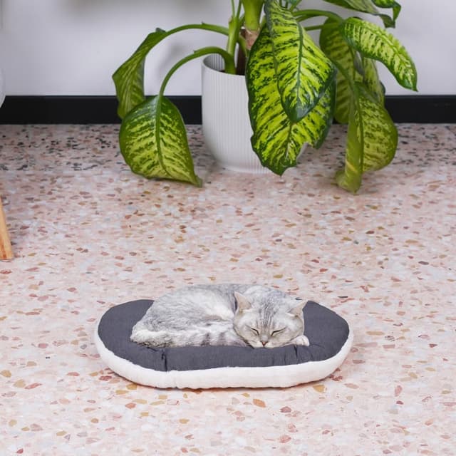 Thumbnail 2 de Ferplast Panier chat très petit 43 x 30 cm 🐾