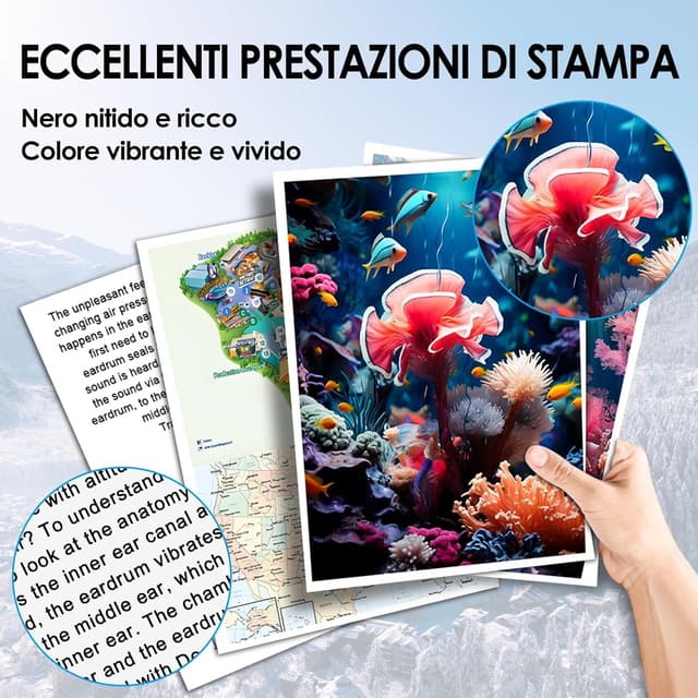 Detalle 2 de DOUBLE D 405XL Multipack 5 pezzi 🖨