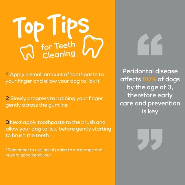 Thumbnail 5 de Arm & Hammer spray dentaire chien 118 ml