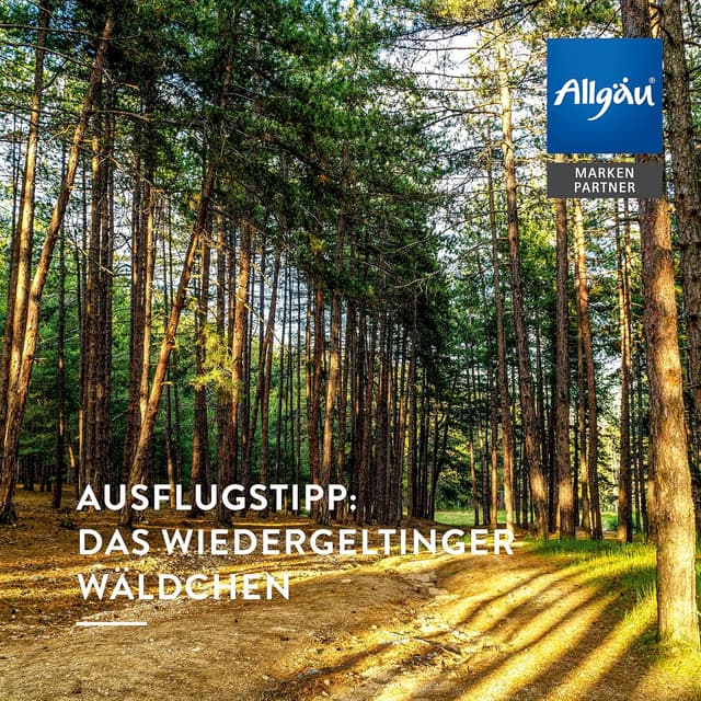 Thumbnail 3 de AllgäuQuelle Bio Airspray 100 ml Duftspray