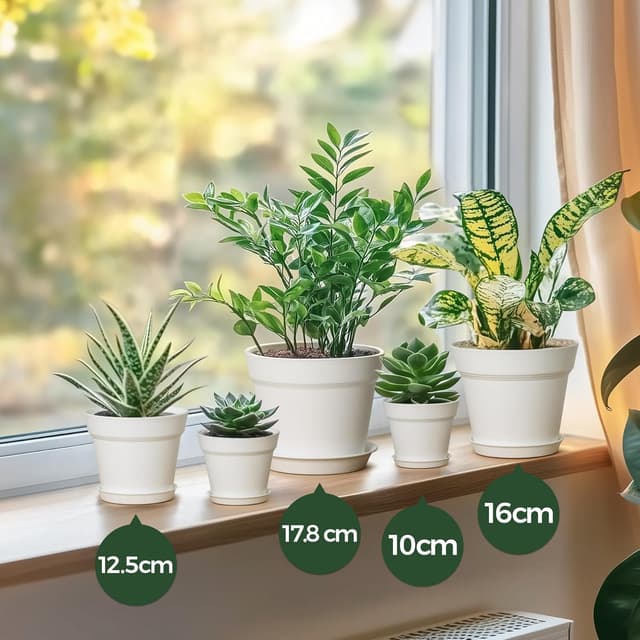Detalle 2 de T4U Plant Pots indoor set 6