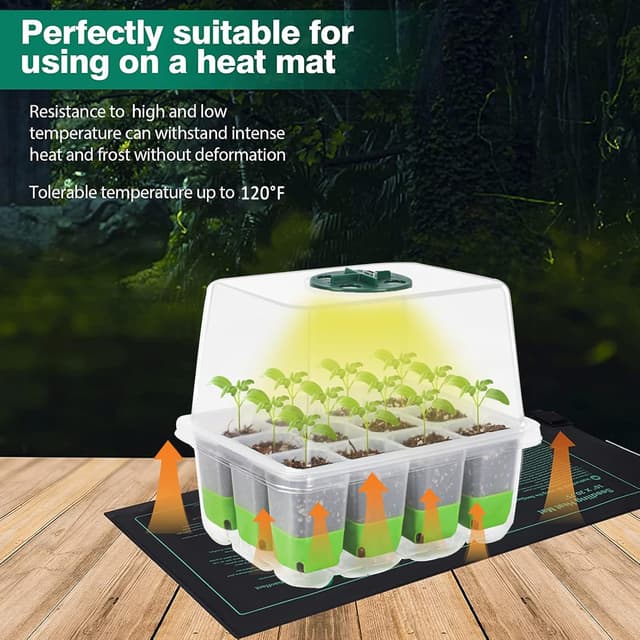 Detalle de VDYXEW seed germination kit 12 cells