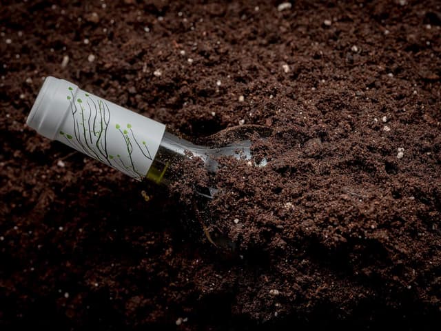 Thumbnail 4 de Marques De Riscal Vino Blanco Sauvignon Blanc Orgánico 🍇 2x750ml