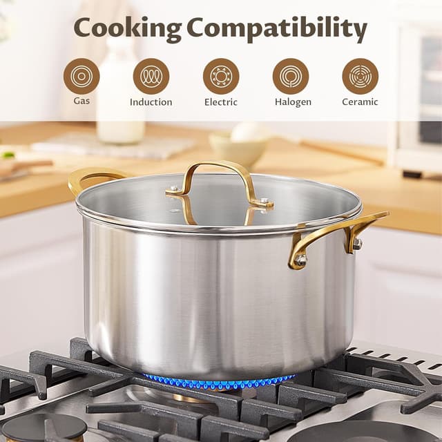 Thumbnail 5 de BEZIA 6 Quart Stockpot for Stew