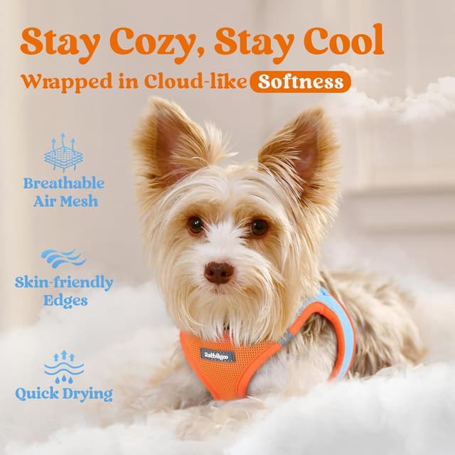 Detalle de rabbitgoo Dog Harness (Small Dog) Step-in Soft Mesh Puppy Harness with Reflective Strips, Blue & Orange, M