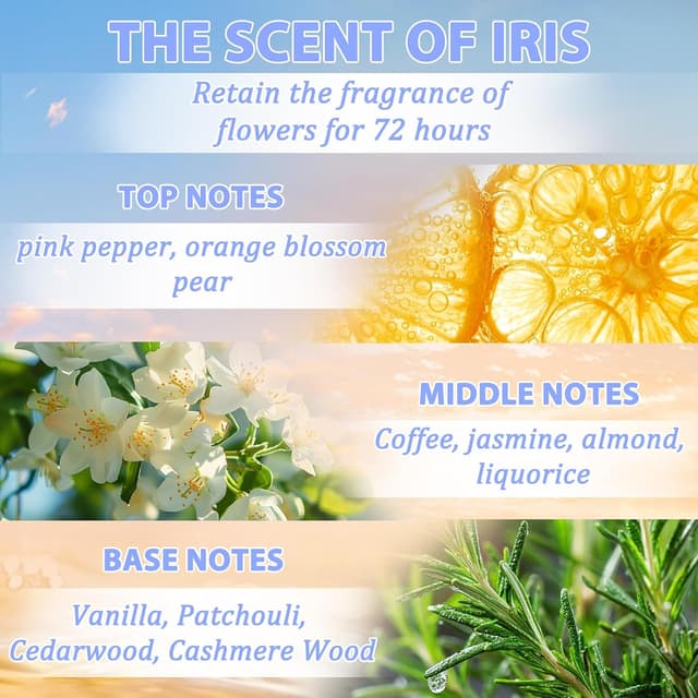 Detalle de Tgideas Hair Oil Spray Leave-In Conditioning Oil with Jojoba and Shea Butter (clear spray for dry, curly hair)