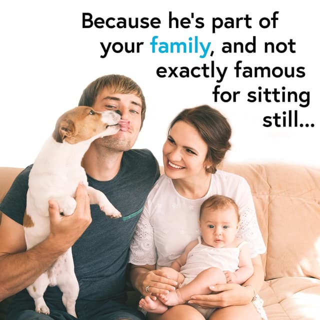 Thumbnail 6 de iProvèn DTK-117Y pet thermometer 20 sec