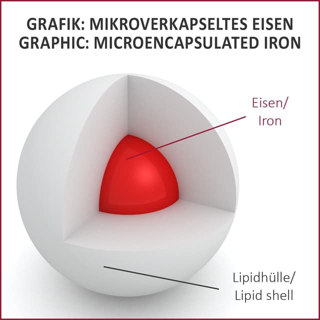 Thumbnail 6 de ALP NUTRITION Eisen Tropfen 30 ml – hochdosiert mit Eisen, Folsäure und Vitamin B12