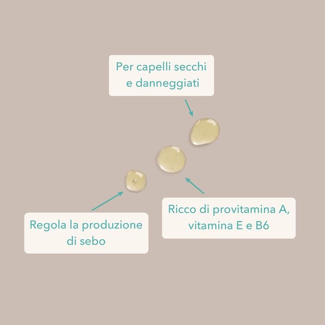 Detalle de Colibri Skincare BIO Olio di Jojoba 100 ml – olio di jojoba biologico puro per viso e capelli