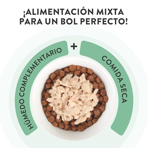 Thumbnail 5 de Schesir Filetes de Atún y Calabaza, 12×70 g 🐱